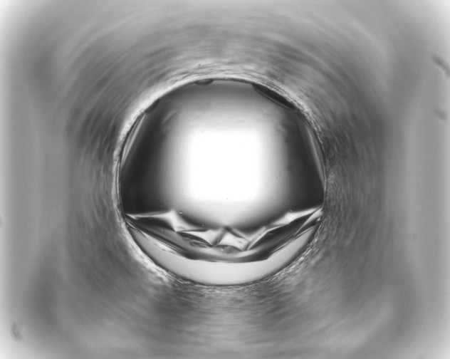 X0000093451528200711021103