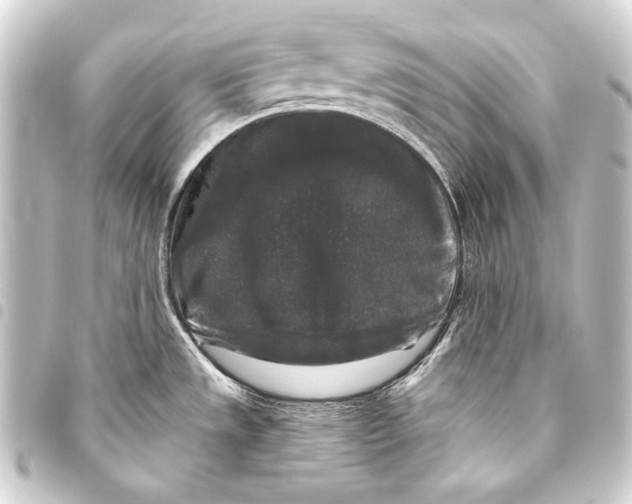 X0000093451533200711021104