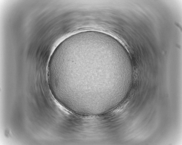 X0000093451535200711021104