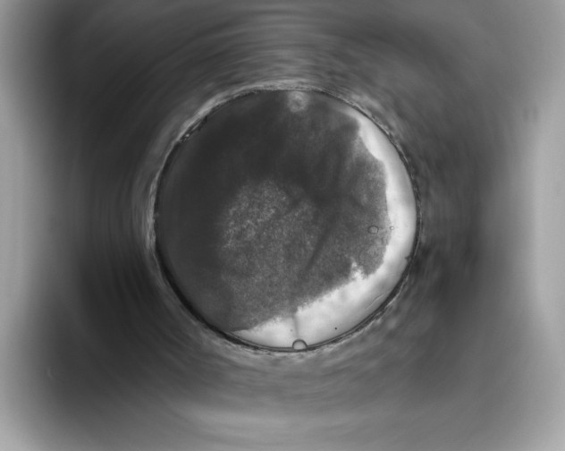 X0000093450002200711091521