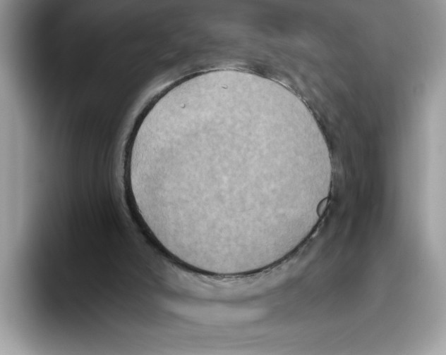 X0000093450006200711091521