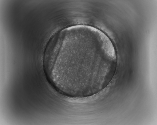 X0000093450009200711091521