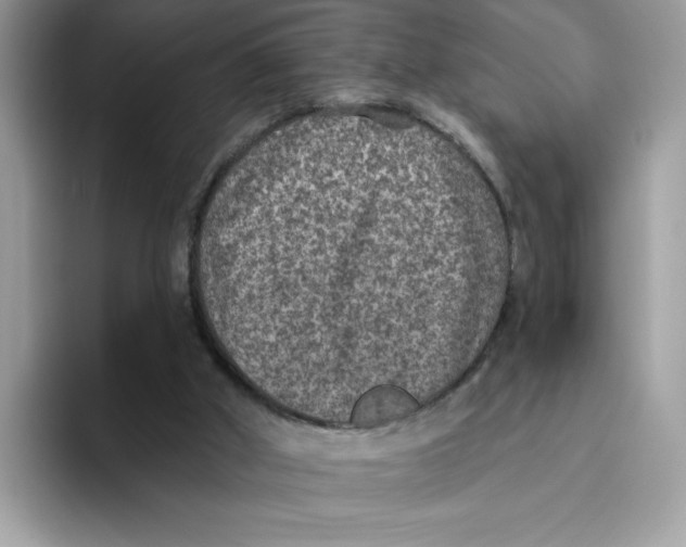 X0000093450010200711091521