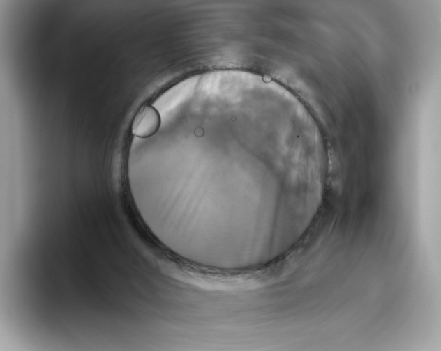 X0000093450012200711091521