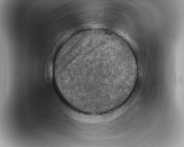 X0000093450014200711091521