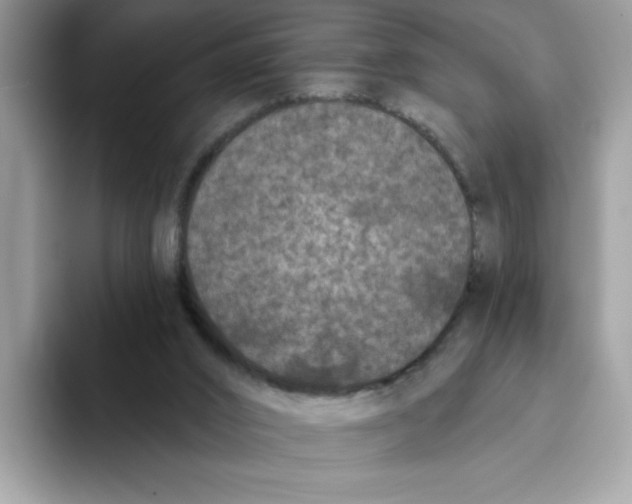 X0000093450016200711091521