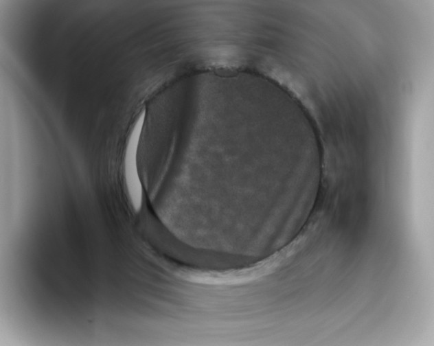 X0000093450017200711091521