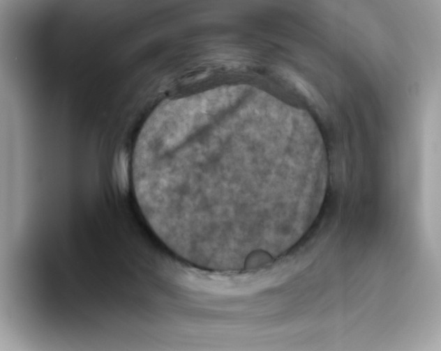 X0000093450022200711091520