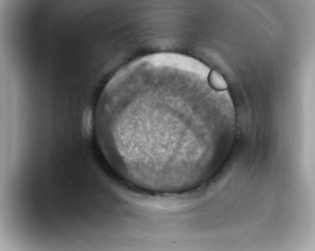 X0000093450024200711091520