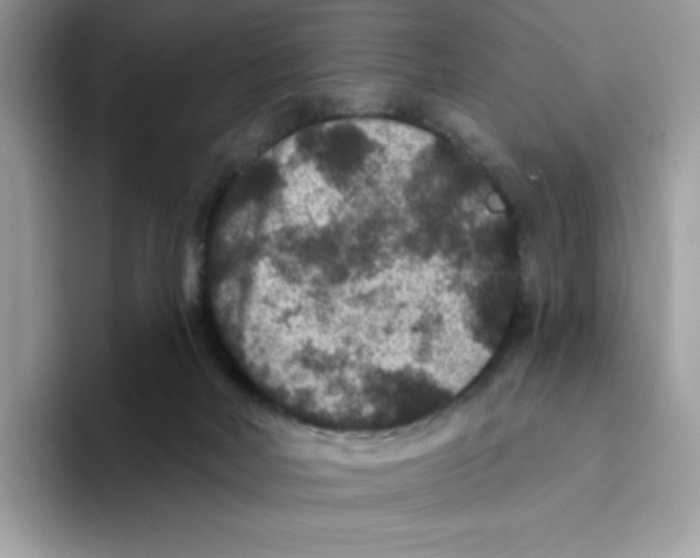 X0000093450026200711091520