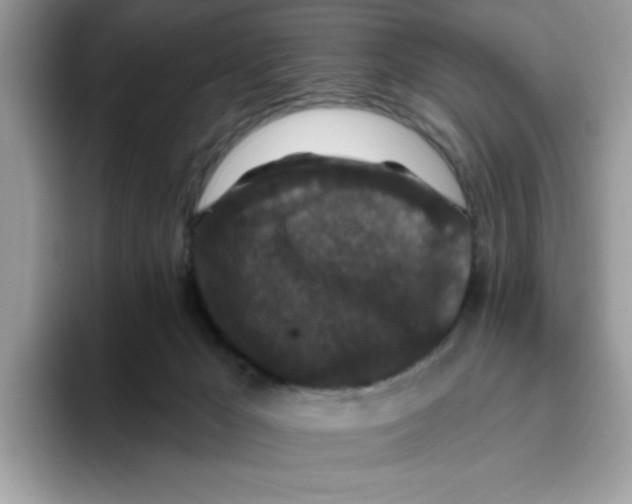 X0000093450029200711091520