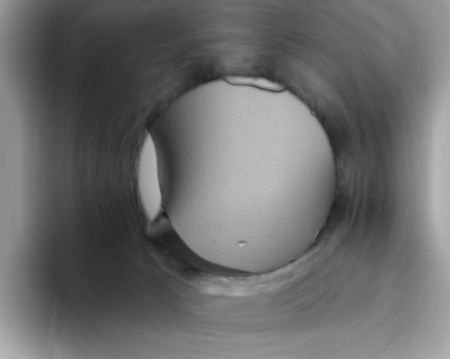 X0000093450033200711091520