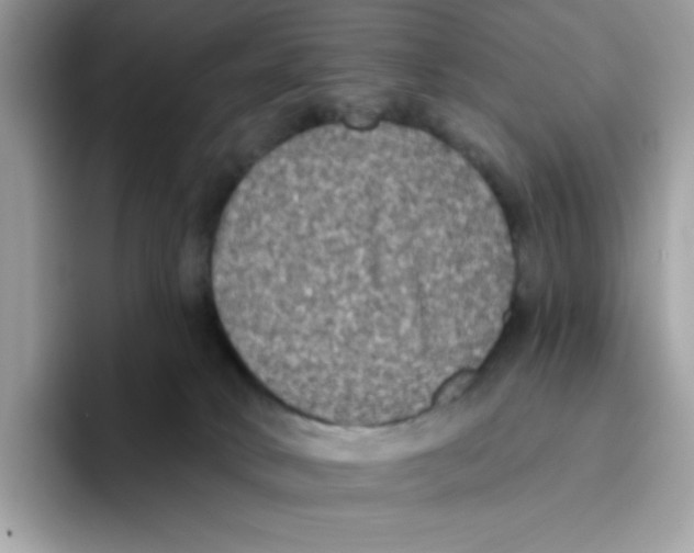 X0000093450034200711091520