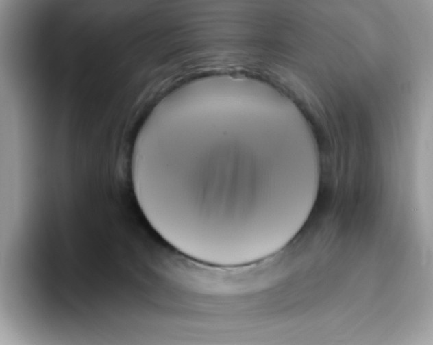 X0000093450035200711091520