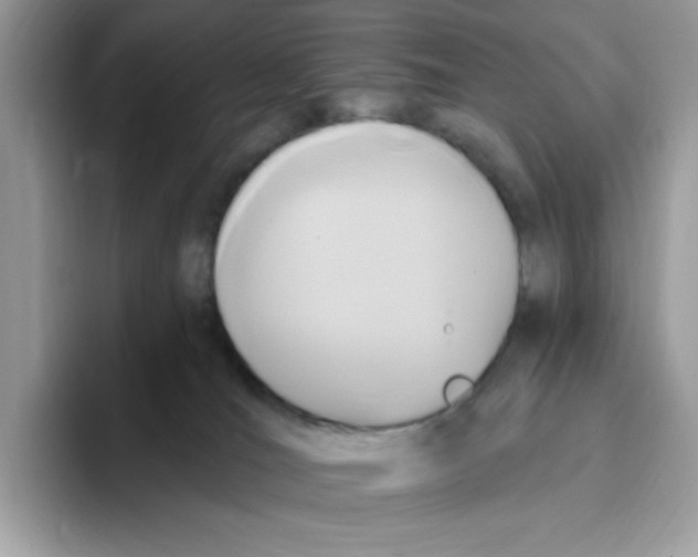 X0000093450036200711091520