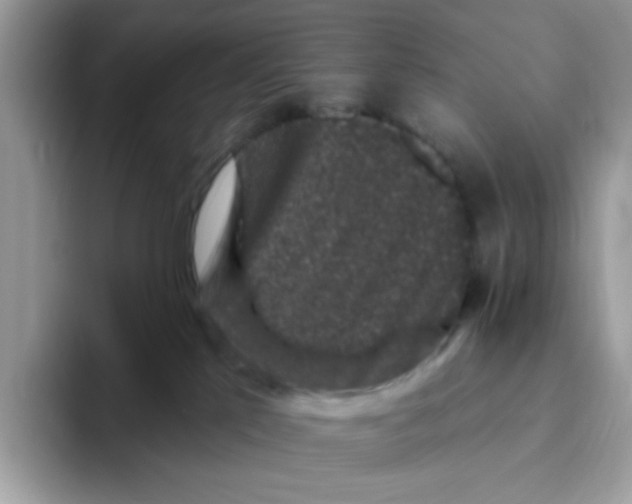 X0000093450041200711091520