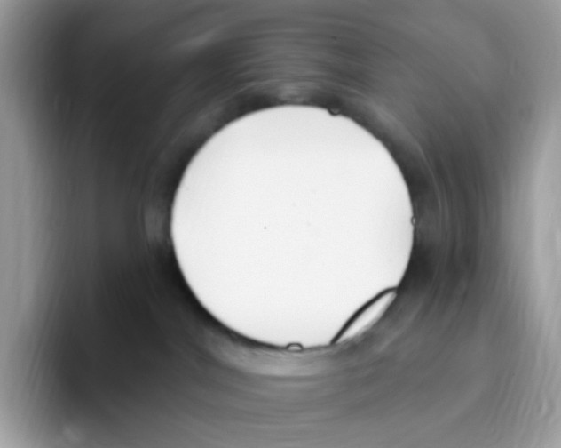 X0000093450044200711091520