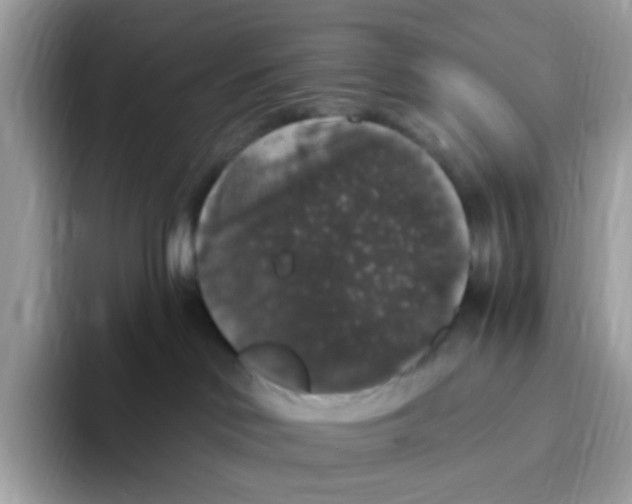 X0000093450046200711091520