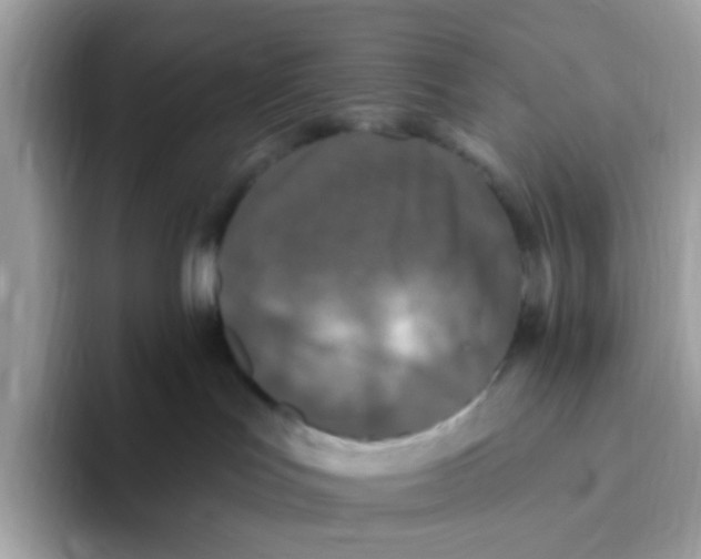 X0000093450047200711091520