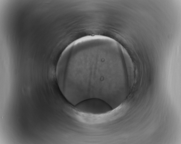 X0000093450048200711091520