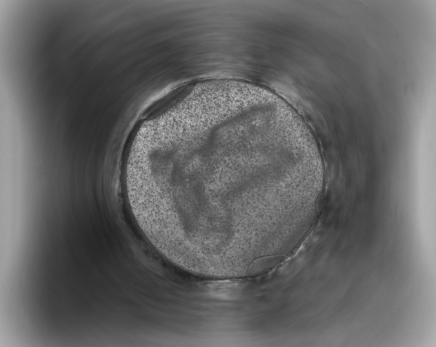 X0000093450050200711091520