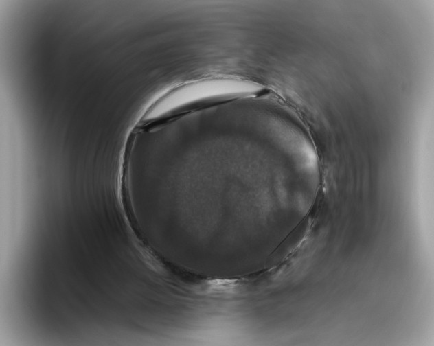 X0000093450052200711091520