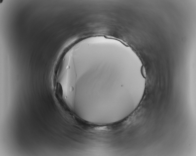 X0000093450054200711091520