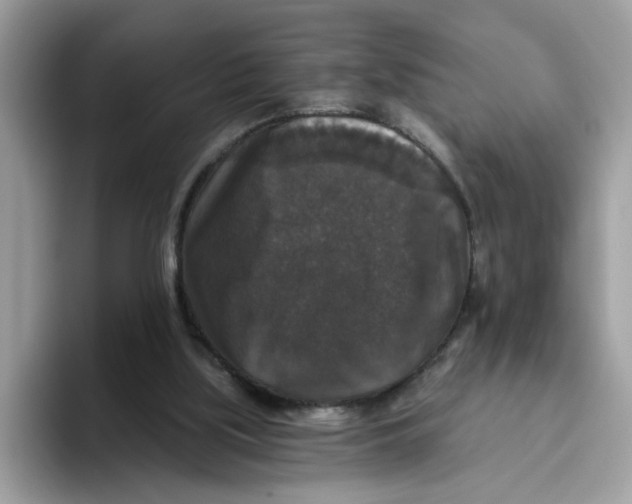 X0000093450059200711091520