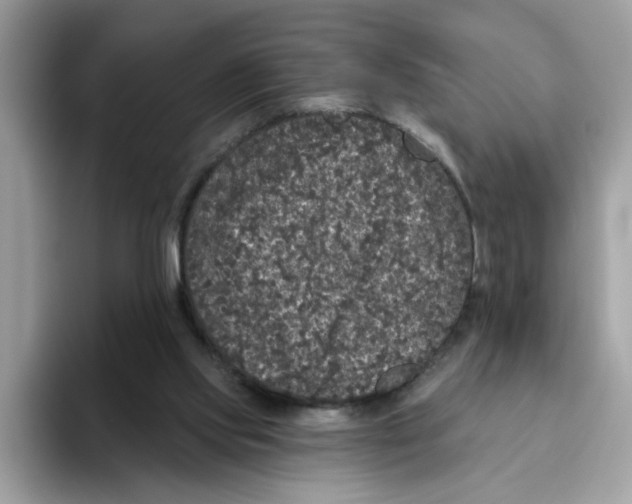 X0000093450061200711091520