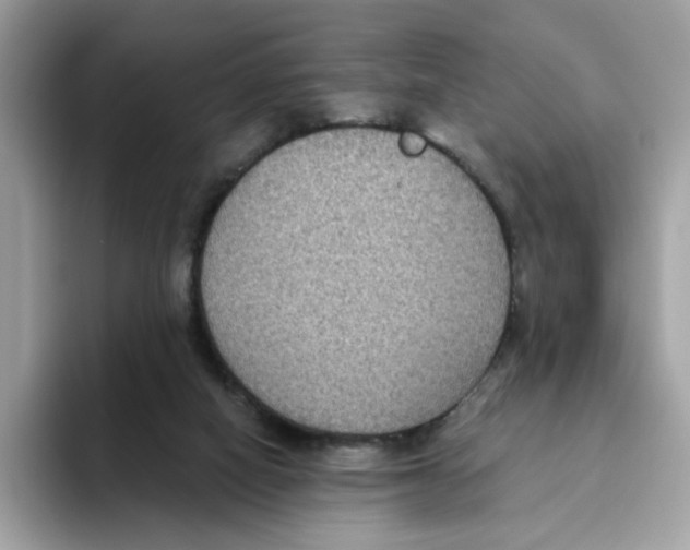 X0000093450066200711091520