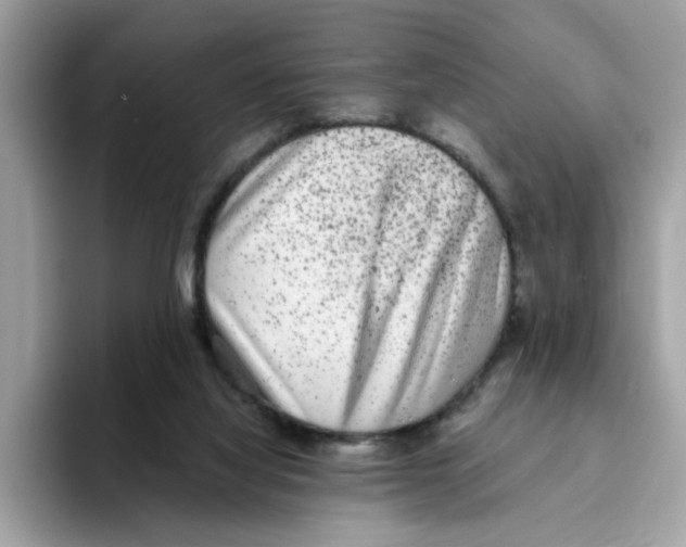 X0000093450068200711091520