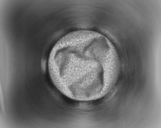 X0000093450070200711091520