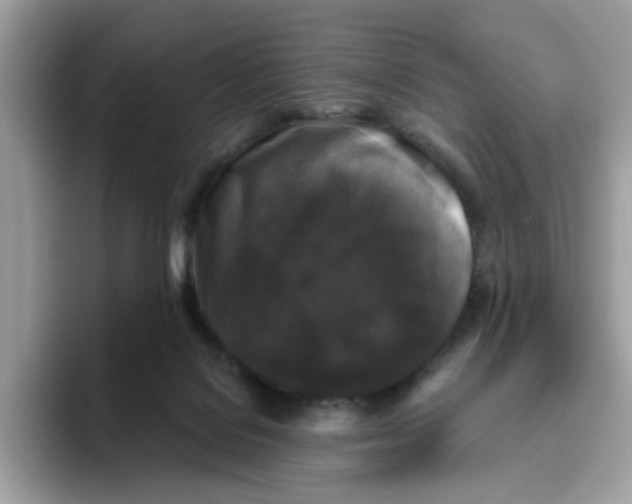 X0000093450076200711091520