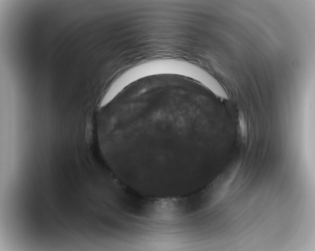 X0000093450080200711091520