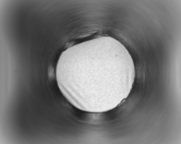 X0000093450089200711091520