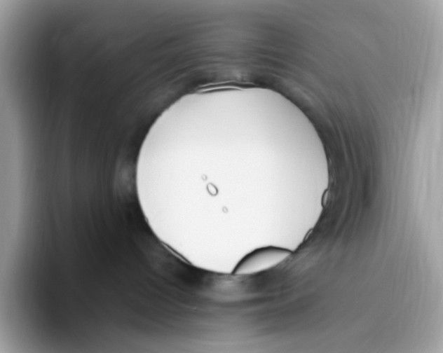 X0000093450096200711091520