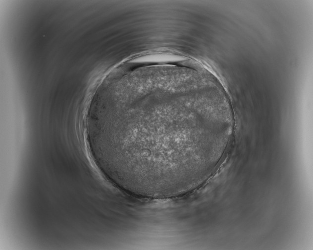 X0000093450097200711091520