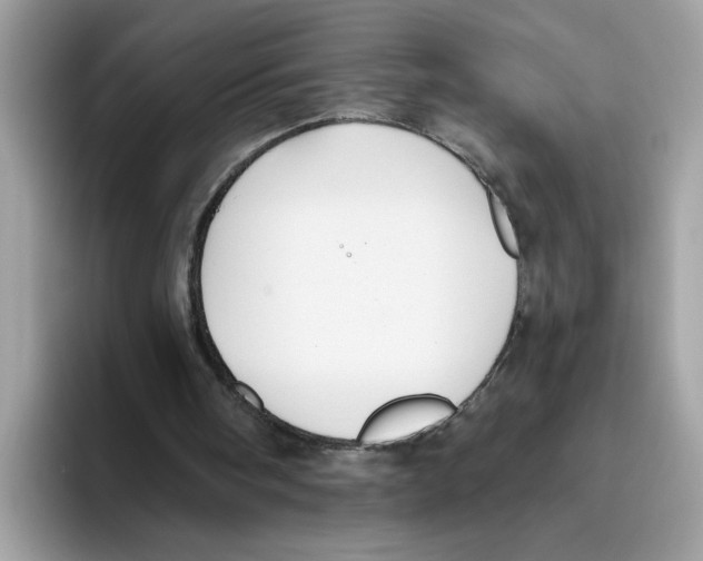 X0000093450098200711091520