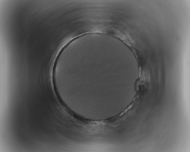 X0000093450099200711091520