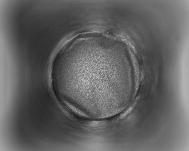 X0000093450101200711091520