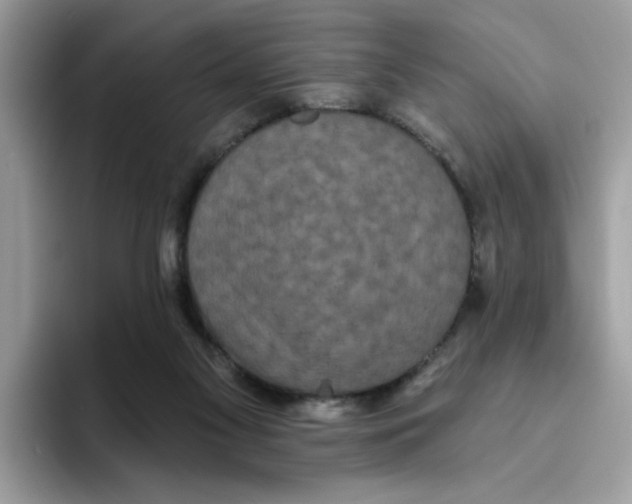 X0000093450117200711091519