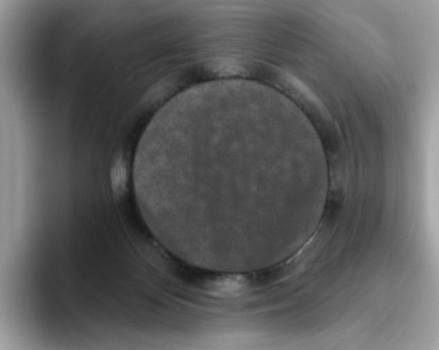 X0000093450124200711091519