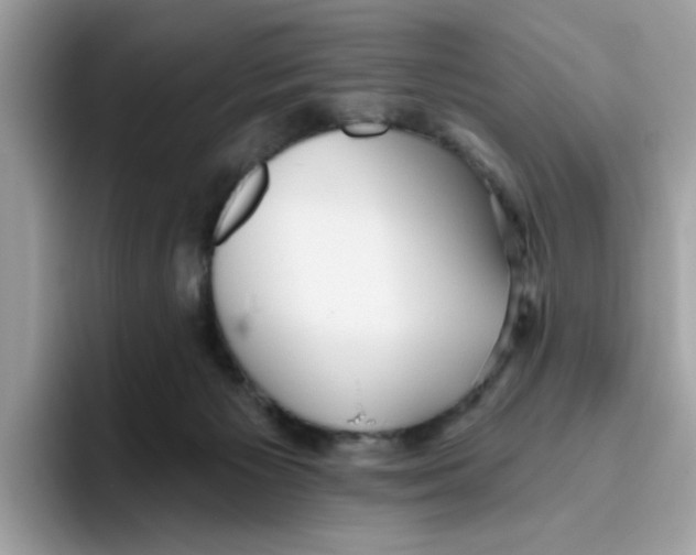 X0000093450125200711091519