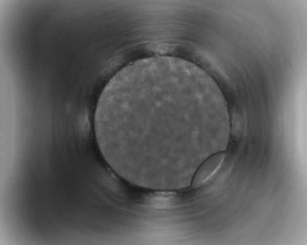 X0000093450128200711091519