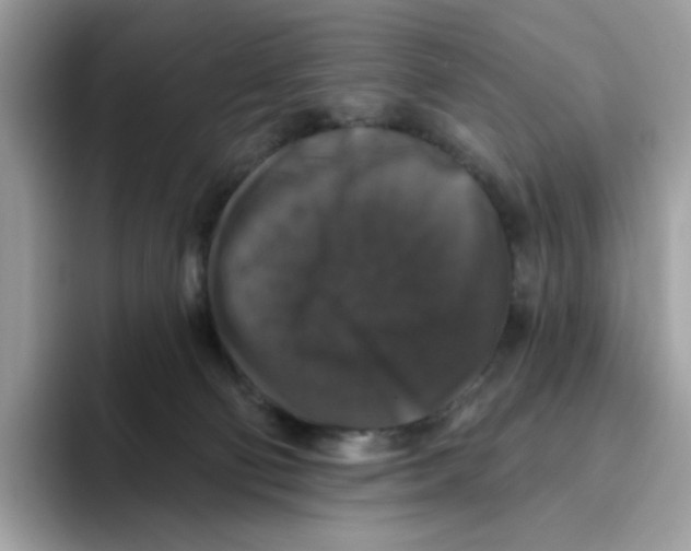 X0000093450130200711091519