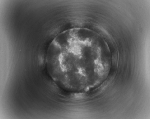 X0000093450134200711091519