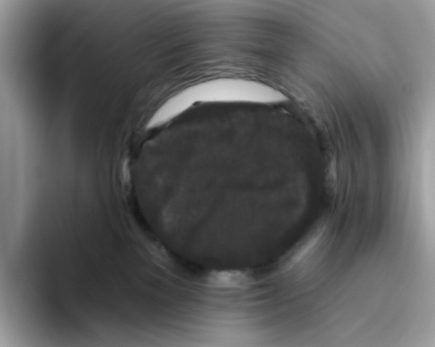 X0000093450137200711091519