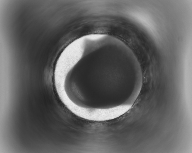 X0000093450146200711091519