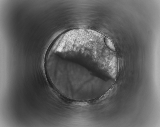 X0000093450147200711091519