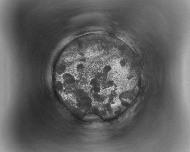 X0000093450149200711091519